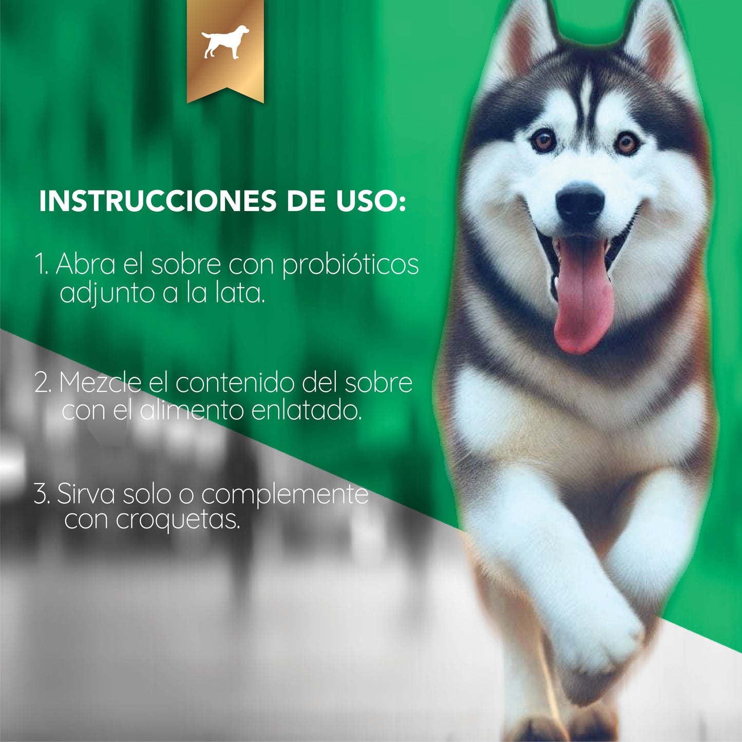 Fortified Fish Formula - Morrison Canis Alimento Húmedo Premium para Perros Sabor Pescado
