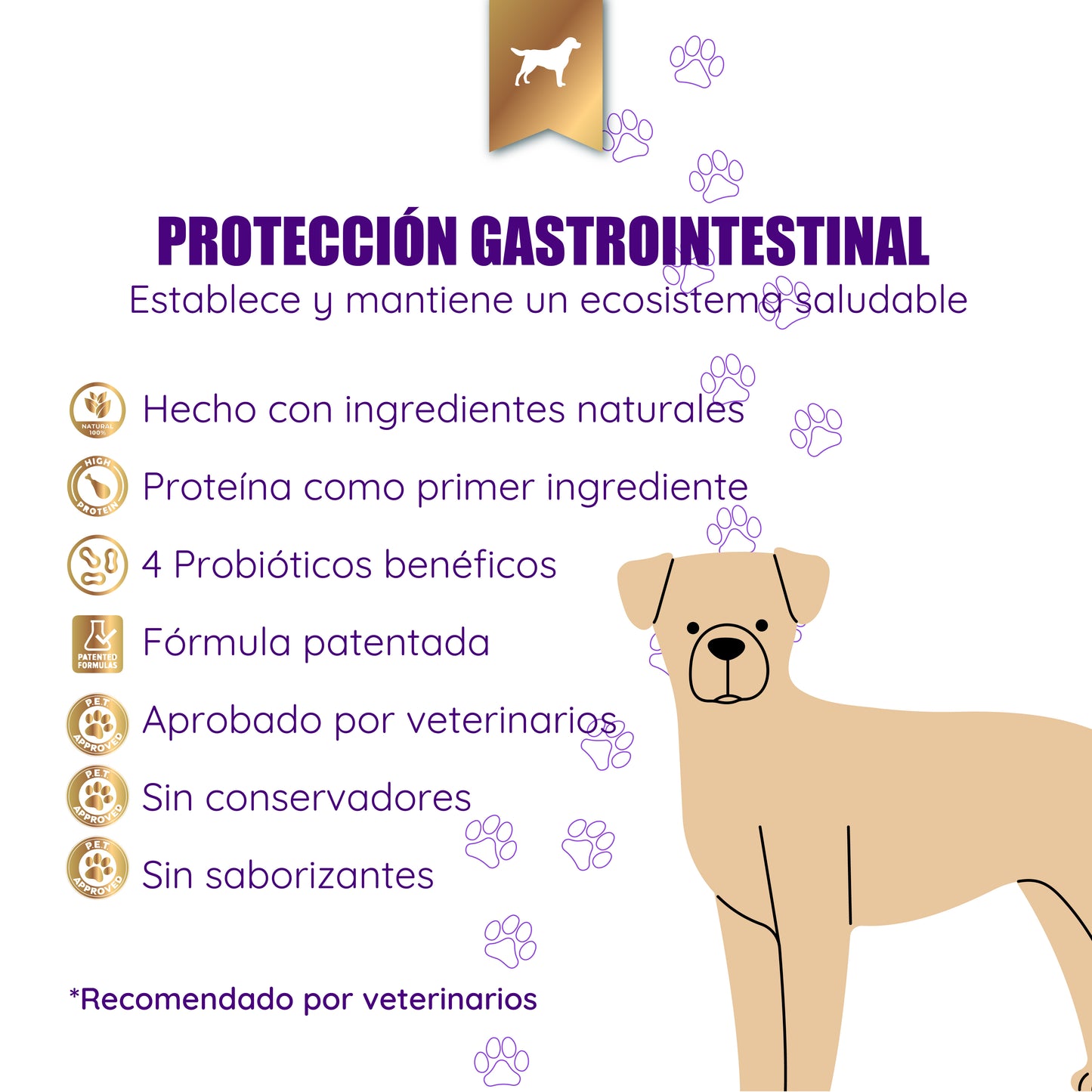 Complete Chicken Care - Morrison Canis Alimento Húmedo Premium para Perros Sabor Pollo