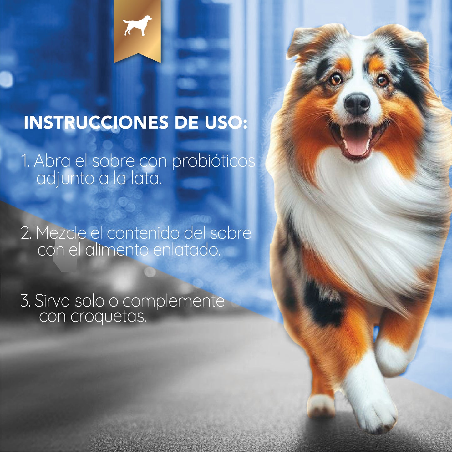 Biotic Beef Blend - Morrison Canis Alimento Húmedo Premium para Perros Sabor Res