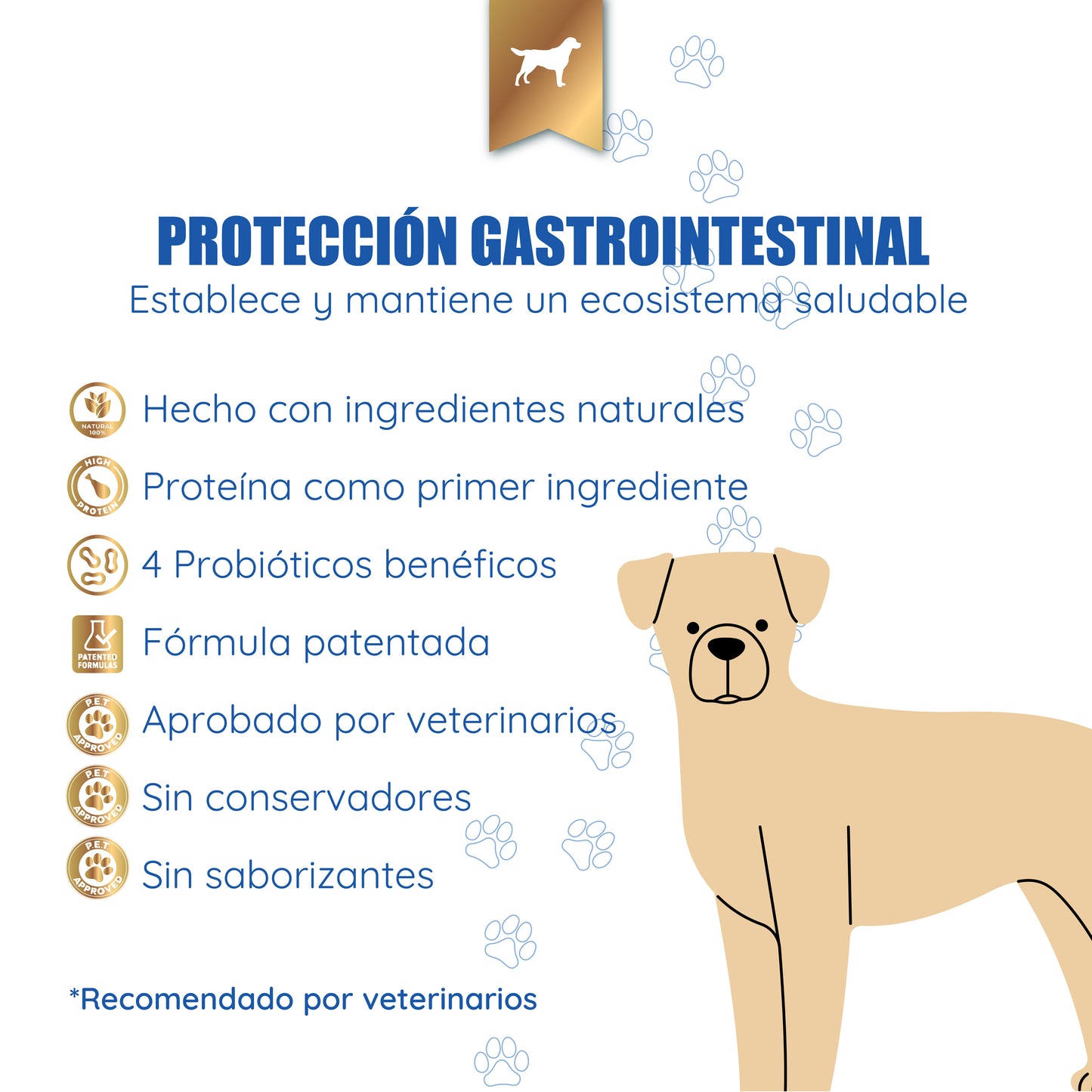 Biotic Beef Blend - Morrison Canis Alimento Húmedo Premium para Perros Sabor Res