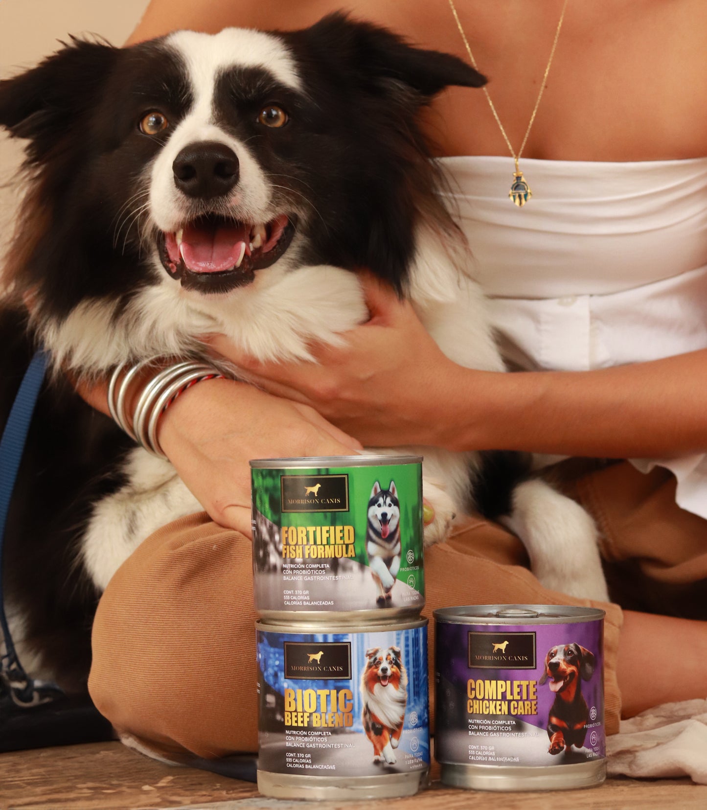 12 Latas - Caja Morrison Canis Alimento Húmedo Premium para Perros Tres Sabores
