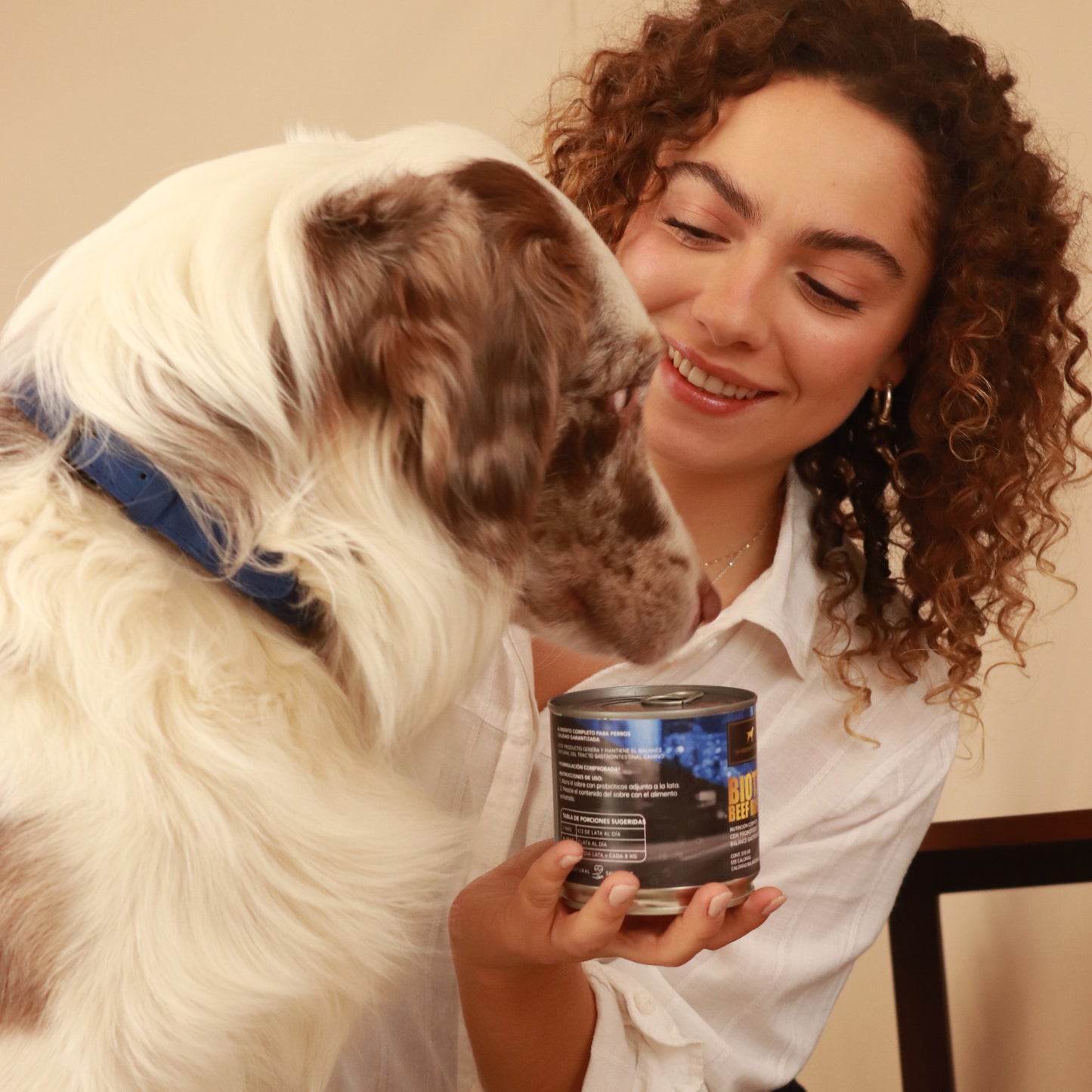 Biotic Beef Blend - Morrison Canis Alimento Húmedo Premium para Perros Sabor Res