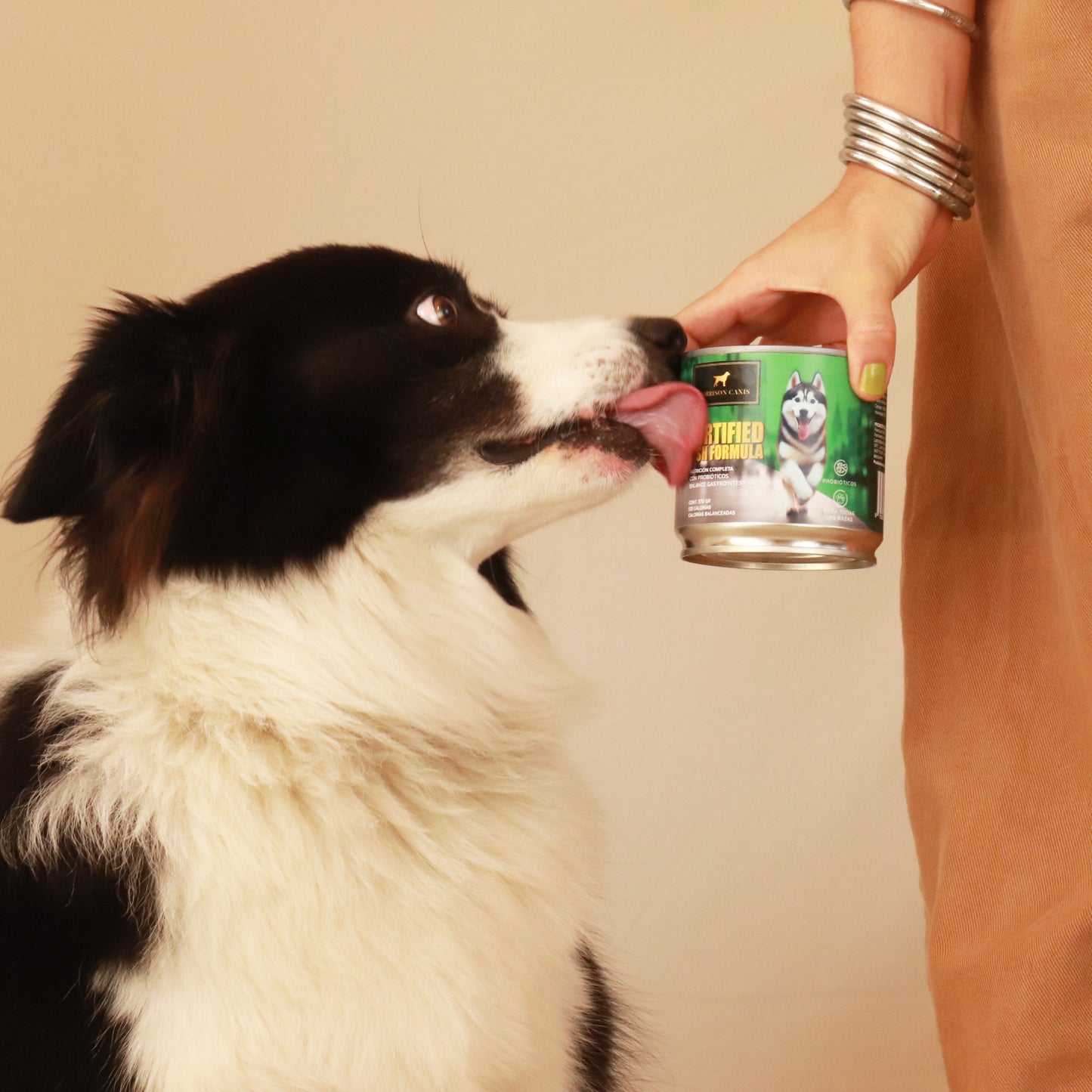 Fortified Fish Formula - Morrison Canis Alimento Húmedo Premium para Perros Sabor Pescado