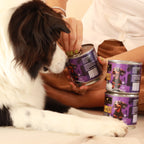 Complete Chicken Care - Morrison Canis Alimento Húmedo Premium para Perros Sabor Pollo