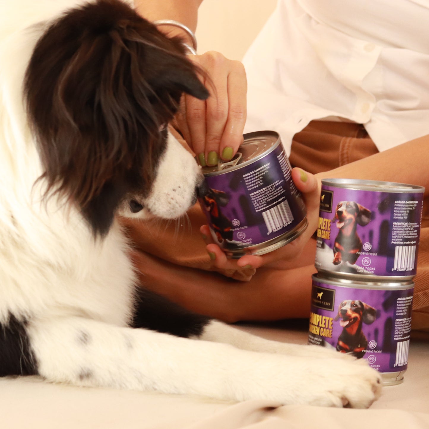 24 Latas - Caja Morrison Canis Alimento Húmedo Premium para Perros Tres Sabores