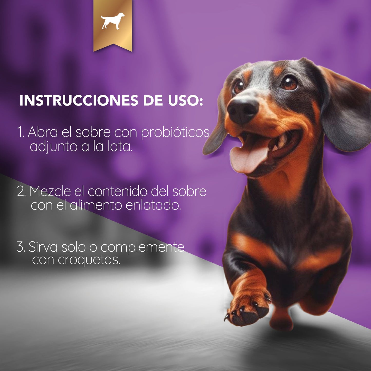 Complete Chicken Care - Morrison Canis Alimento Húmedo Premium para Perros Sabor Pollo